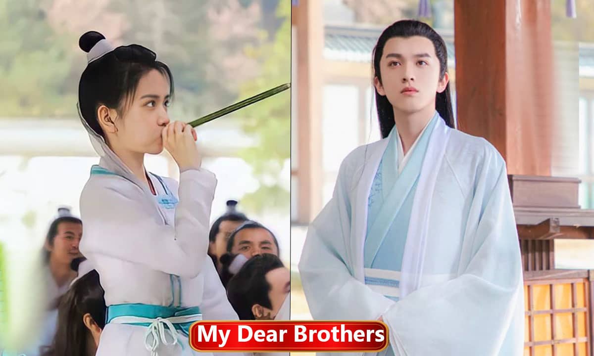 My Dear Brothers Chinese Drama In Hindi Dubbed Watch Online