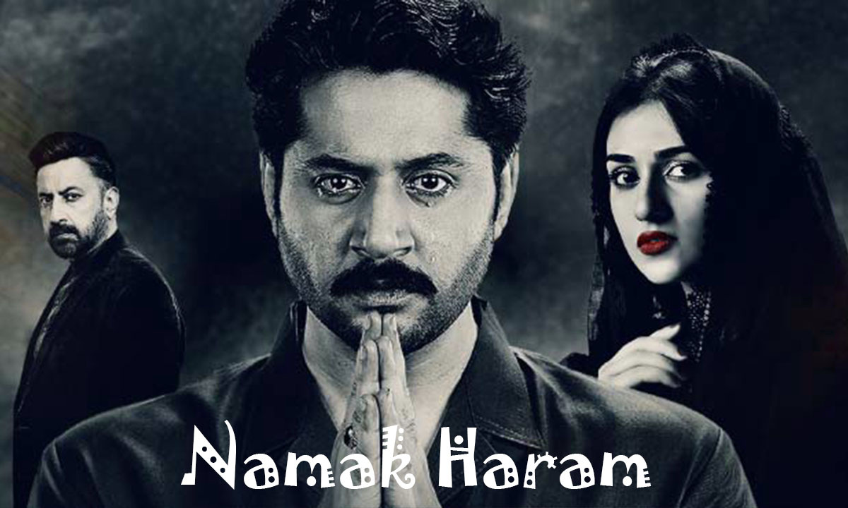Namak Haram Drama Watch Online [Imran Ashraf & Sarah Khan]
