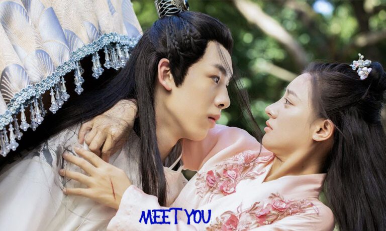 Meet You Chinese Drama Hindi Dubbed – Watch Online Free!